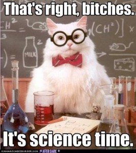 funny-pictures-cat-does-science