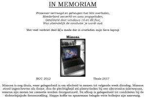 in-memoriam-mimosa