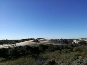 Duingebied Meijendel Den Haag, rust in Den Haag