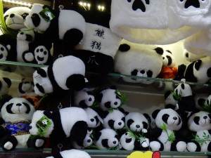 verwennen Ontdek nietig Panda knuffels in een winkel | Het Leids Kwartiertje