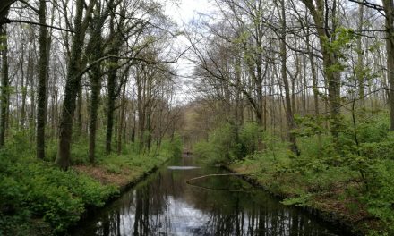 Hoe ontspan je in Den Haag? Vind drie keer rust in de stad