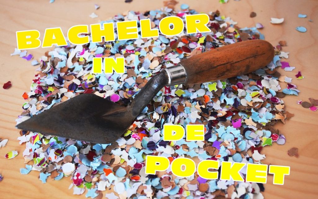 Scriptie gehaald en bachelor in the pocket!