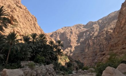 Oman: het ideale vakantieland in de Golfregio