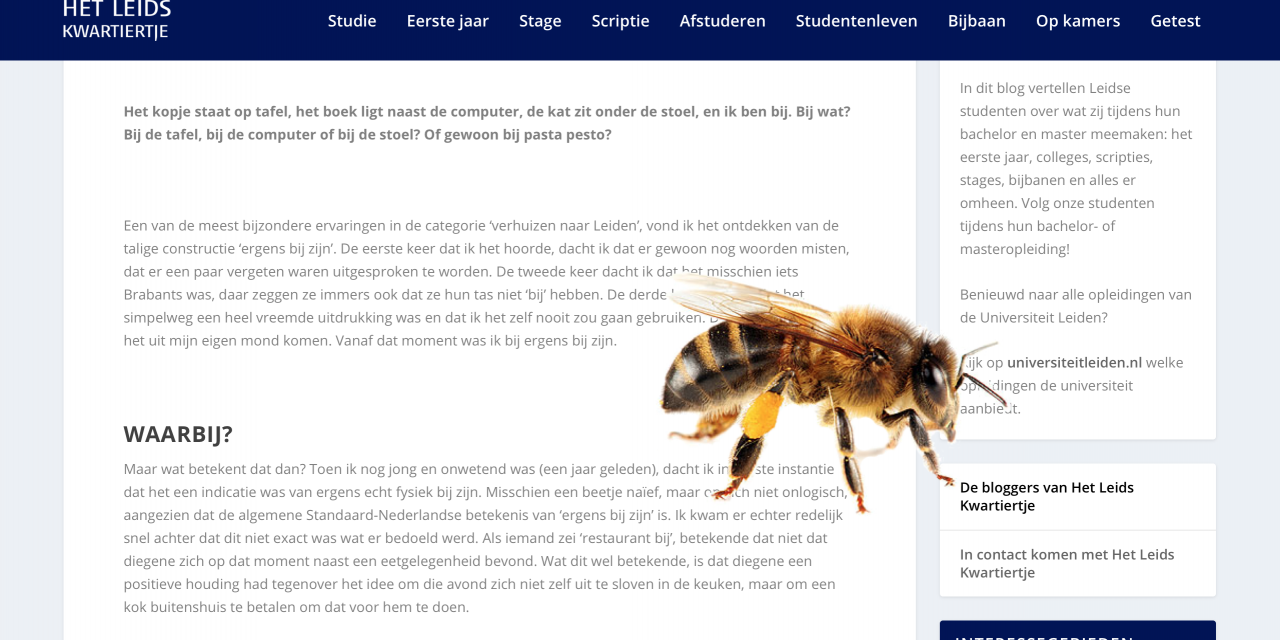 Deze blog lezen? Bij!