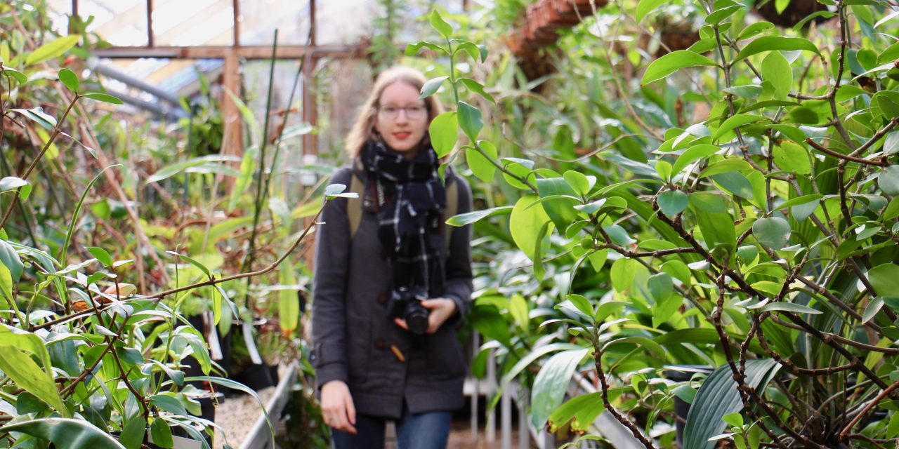 De Hortus Botanicus op de gevoelige plaat