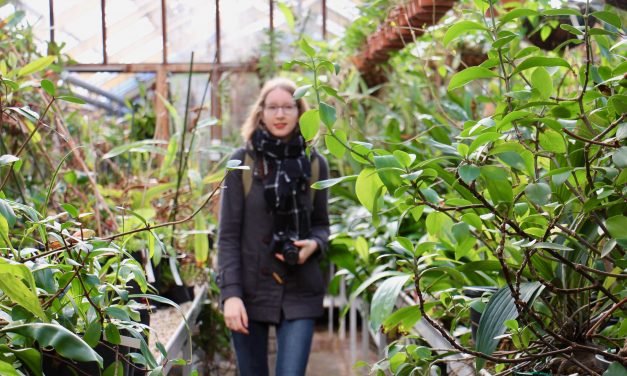 De Hortus Botanicus op de gevoelige plaat