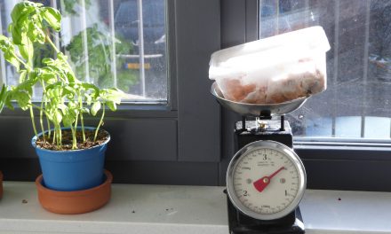 Koken wanneer je geen tijd hebt: tips om het vol te houden