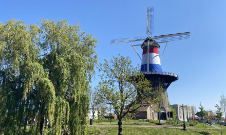 Vrijheid vieren vanuit huis